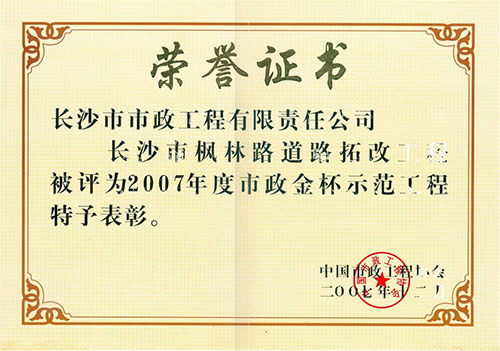 2007年度市政金杯示范工程